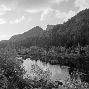 Kanstadsamlingen - NMF010005-00282.jpg