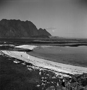 Kanstadsamlingen - NMF010005-00314b.jpg