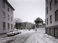 257. Kanstadsamlingen - NMF010005-00373.jpg