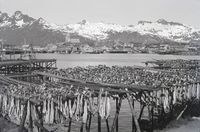 76. Kanstadsamlingen - NMF010005-00498.jpg