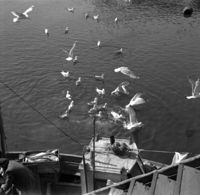 500. Kanstadsamlingen - NMF010005-00896.jpg