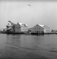 230. Kanstadsamlingen - NMF010005-00905.jpg