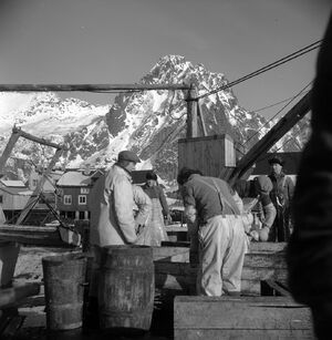 Kanstadsamlingen - NMF010005-00977b.jpg