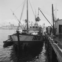 88. Kanstadsamlingen - NMF010005-01194.jpg