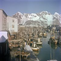 234. Kanstadsamlingen - NMF010005-01349.jpg