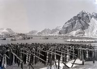 115. Kanstadsamlingen - NMF010005-01514.jpg