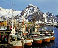 121. Kanstadsamlingen - NMF010005-01600.jpg