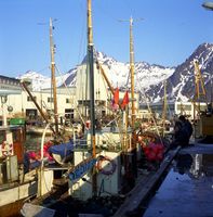 237. Kanstadsamlingen - NMF010005-01644.jpg