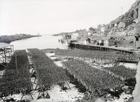 49. Kanstadsamlingen - NMF010005-01887.jpg