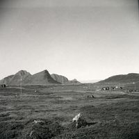 55. Kanstadsamlingen - NMF010005-02141.jpg