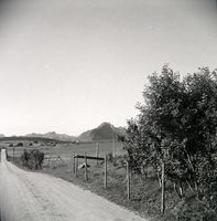 56. Kanstadsamlingen - NMF010005-02142.jpg