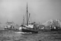 206. Kanstadsamlingen - NMF010005-03551.jpg