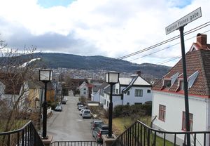 Kaptein Finnes gate Drammen 2016.jpg