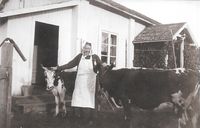 Karen Emilie Badstuen og kyra på bruket. Fotokilde: Per Skogrand