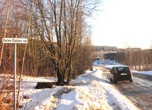 Karen Platous vei Oslo 2013.jpg