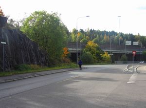 Karihaugveien Oslo 2013.jpg