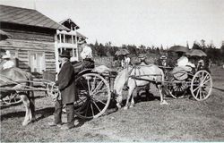 Karjoler i skyss en varm sommerdag.
