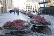 Karl Johans gate ved Stortinget høsten 2017, med sikkerhetssperrer i form av blomsteroppsatser. Foto: Stig Rune Pedersen