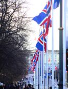 Norske og islandske flagg langs Karl Johan i mars 2017 ifm. statsbesøk fra Island. Foto: Stig Rune Pedersen