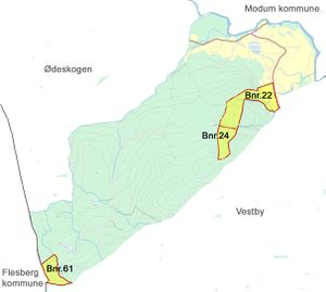 Kart over Sønju (gbnr.180-22) i Øvre Eiker kommune.jpg