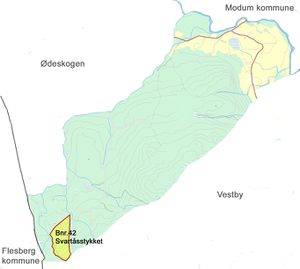Kart over Svartåsstykket (gbnr.180-42) i Øvre Eiker kommune.jpg