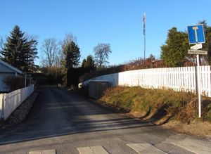 Katy Dues vei Oslo 2013.jpg