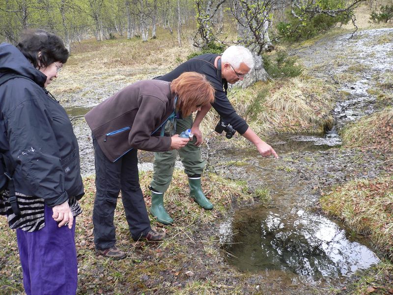 Fil:Kilder i Sjurdalen.jpg