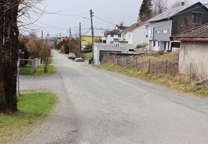 Kirkedalsveien Bærum 2016.jpg