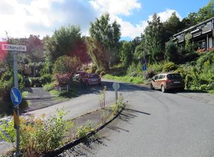 Kirkerudlia Bærum 2020.JPG