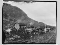 21. Kirkestølene, Filefjeld - NB MS G4 0148.jpg