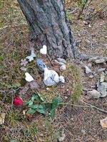 Åsta Sofie Helland Dahl sitt minnested på Kjærlighetssten på Utøya. Foto: Eva Rogneflåten (2021)