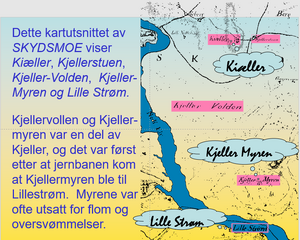 Kjellermyren Kinne.PNG