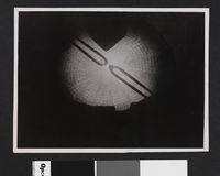 249. Kjemisk prosess - no-nb digifoto 20160414 00482 bldsa EYDE 5 04 040.jpg