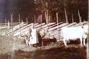 Klara Bjørklund.jpg