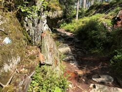 Kleiva opp mot Skjettenkollen1. Foto 2020 Steinar Bunæs.