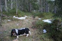 12. Kleivan (Klæbu) o.jpg