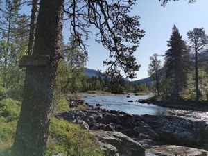 Kleivelvi Mjølfjell.jpg