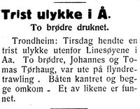 1. Klipp 13 fra Nord-Trøndelag og Nordenfjeldsk Tidende 09.02.33.jpg
