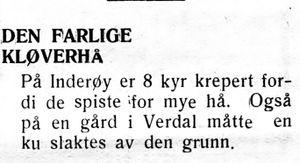 Klipp 17 fra Inntrøndelagen og Trønderbladet 23. 09. 1936.jpg