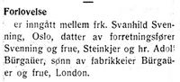 117. Klipp 3 fra Nord-Trøndelag og Nordenfjeldsk Tidende 09.02.33.jpg