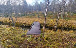 Klopp over Skjellbekken.jpg