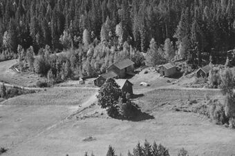 Koia under Lier (Kongsvinger gnr. 24.1) 1959.jpg