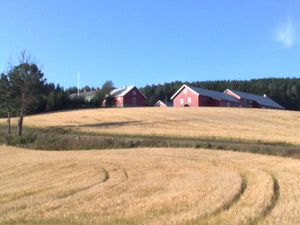 Kolbjornrud2009.jpg