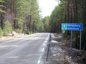 Kommunegrense Flesberg Kongsberg Bævergrendveien 2016.jpg