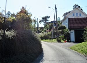 Konglungfaret Asker 2020.JPG