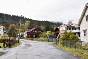 Kongsberg, Bergsliens gate-1.jpg