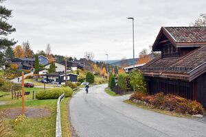 Kongsberg, Bjørnstjerne Bjørnsons vei-1.jpg