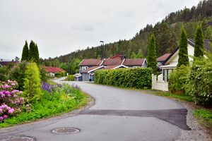 Kongsberg, Diabasgangen-1.jpg