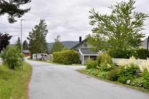 Kongsberg, Erik Brofoss vei-1.jpg