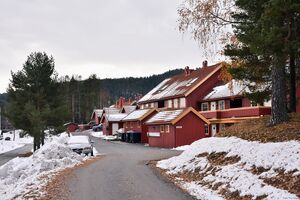 Kongsberg, Falkeløkka-1.jpg